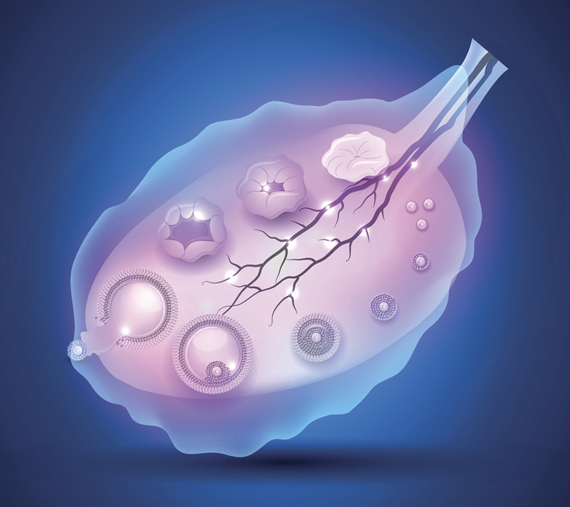 2026年卫健委科研所单身试管助孕费用完整清单